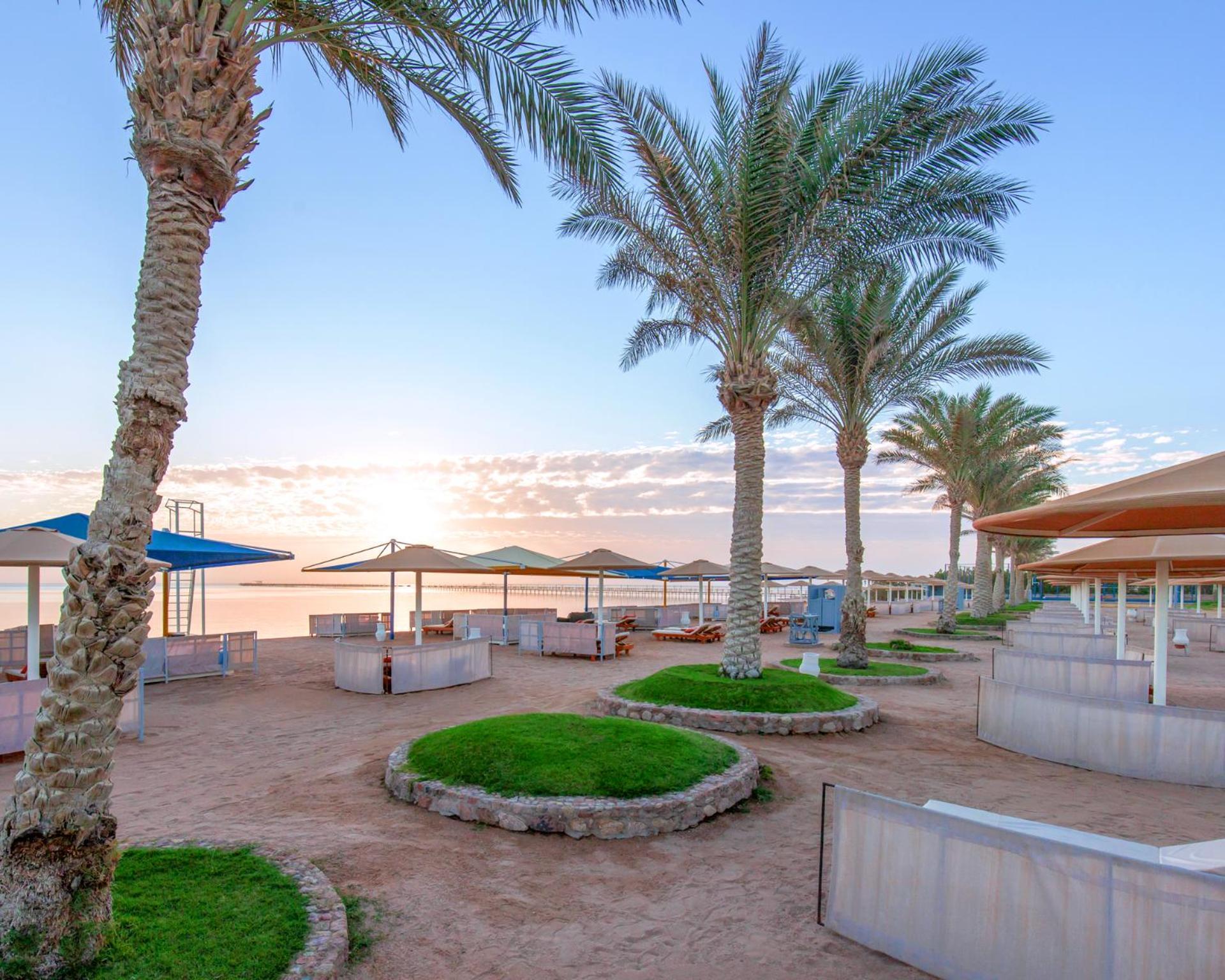 منتجع رويال الباتروس مودرنا - للعائلات والأزواج فقط شرم الشيخ المظهر الخارجي الصورة The photo depicts a scenic outdoor area by the water, characterized by several palm trees swaying gently in the breeze. There are shaded seating areas with umbrellas and what appear to be lounge spaces arranged in a circular format with patches of gr